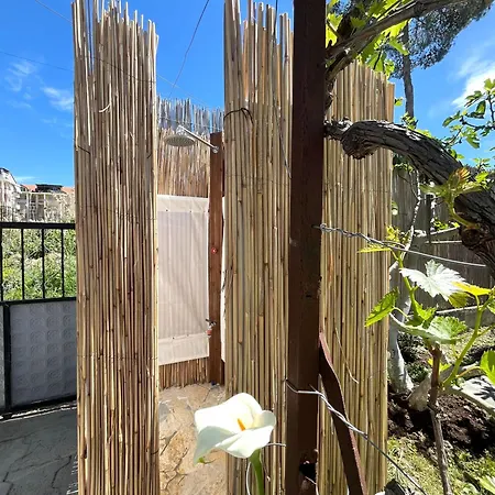 Seaside With Garden גולם