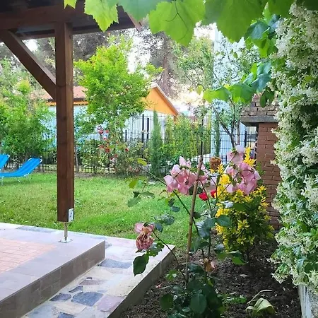 Seaside With Garden *