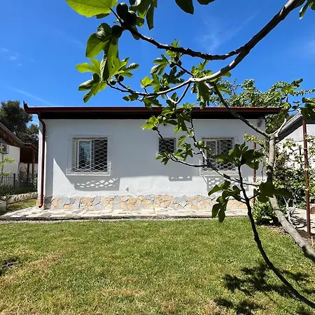 Ferienhaus Seaside With Garden *