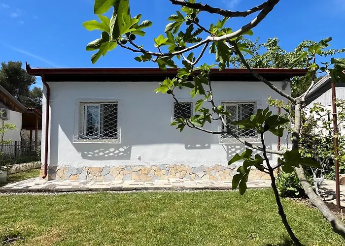 Vakantiehuis Seaside With Garden *